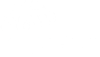 Under the Tree nakameguro